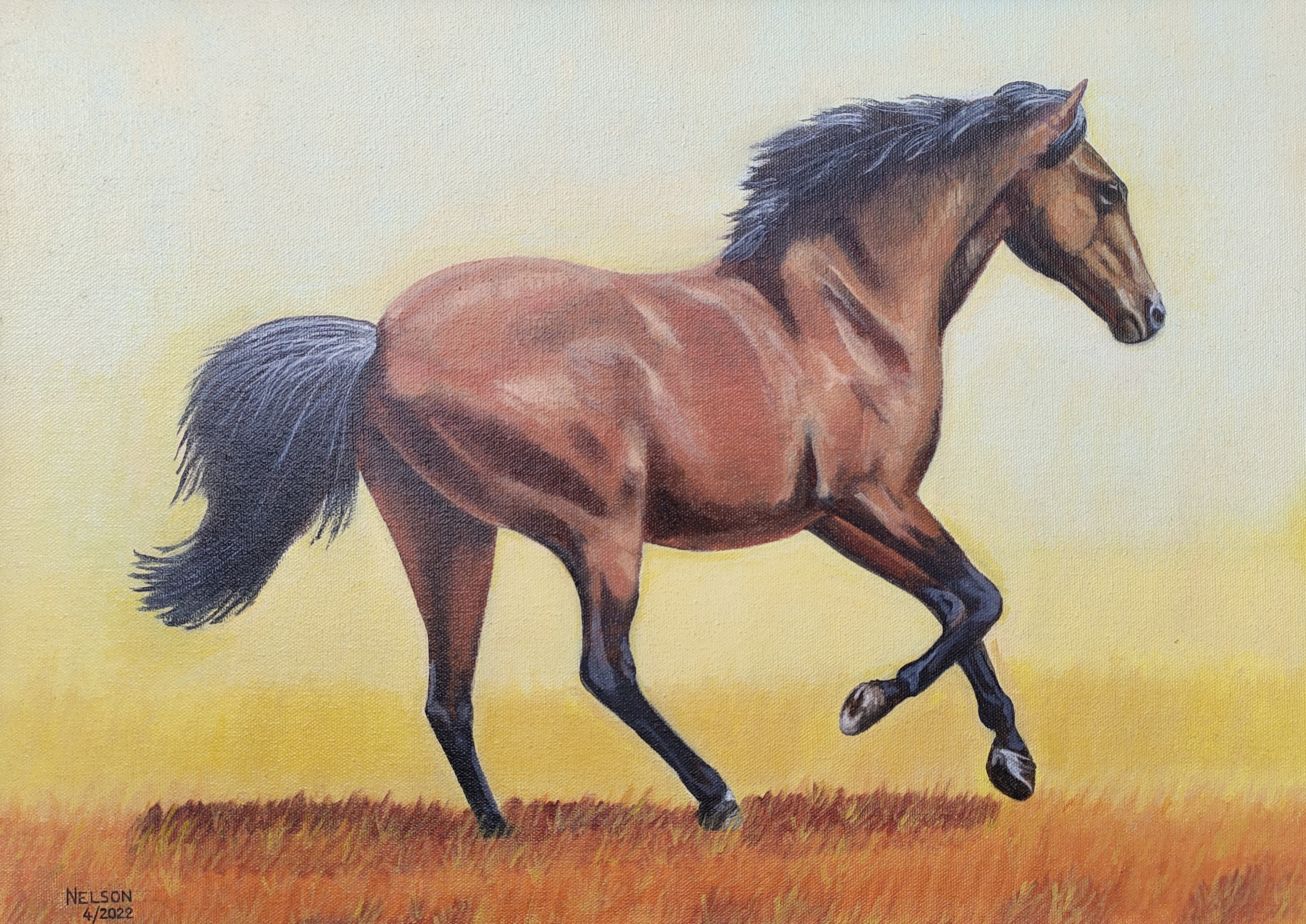 Horse in golden motion